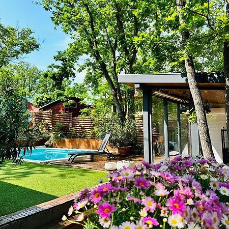 Pine-Wood Resort Balatonalmádi Esterno foto